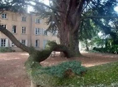 Chateau De Longsard Arnas